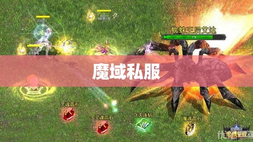 暗夜魔王降临，揭秘超变态魔域私服的神秘面纱 - 私服魔域网