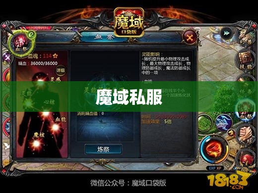  魔域私服攻略大全：神秘幻兽盘点与养成心得 - 私服魔域网