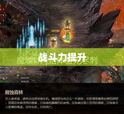  神秘之旅——魔域幽暗森林攻略指南 - 私服魔域网