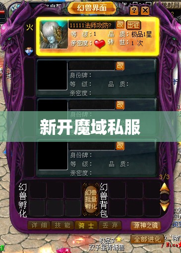 新开魔域私服法师怎么搭配BB - 私服魔域网