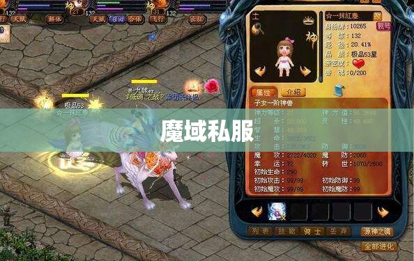 怎么狂刷魔域私服宝宝转世次数 - 私服魔域网
