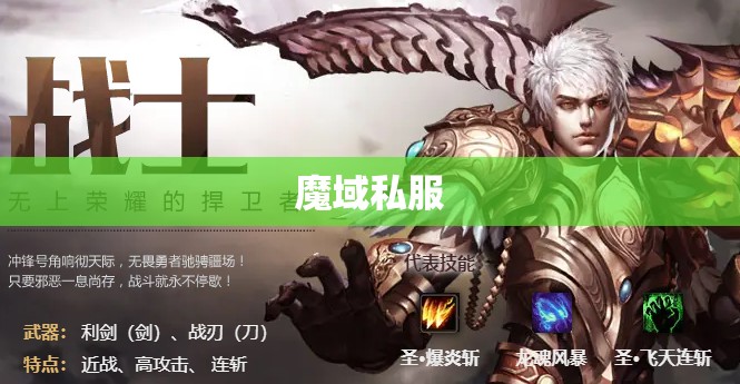 跟人对于魔域私服战士职业的建议 - 私服魔域网