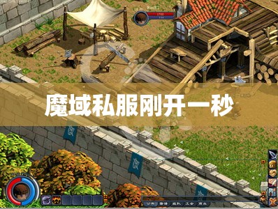 一款独特的网络游戏，具有不同的玩法和全新的体验能力 - 私服魔域网