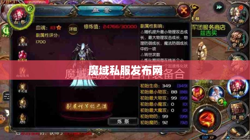 不变态的魔域私服 装备垃圾不要看 - 私服魔域网