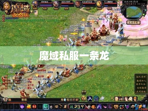 放管服魔域私服 一步一脚印坐拥千战， - 私服魔域网
