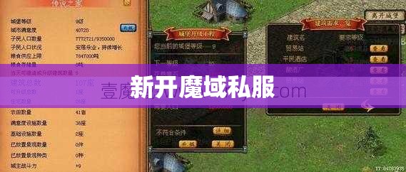 变态魔域私服，给新手的一些合宝宝的攻略 - 私服魔域网