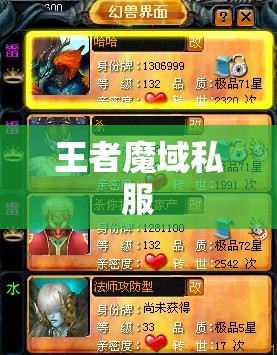 高级RMB法师是怎样花小钱炼成的 魔域私服一条龙 - 私服魔域网