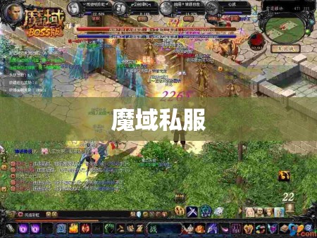 魔域私服中各职业的PK经验分享 - 私服魔域网
