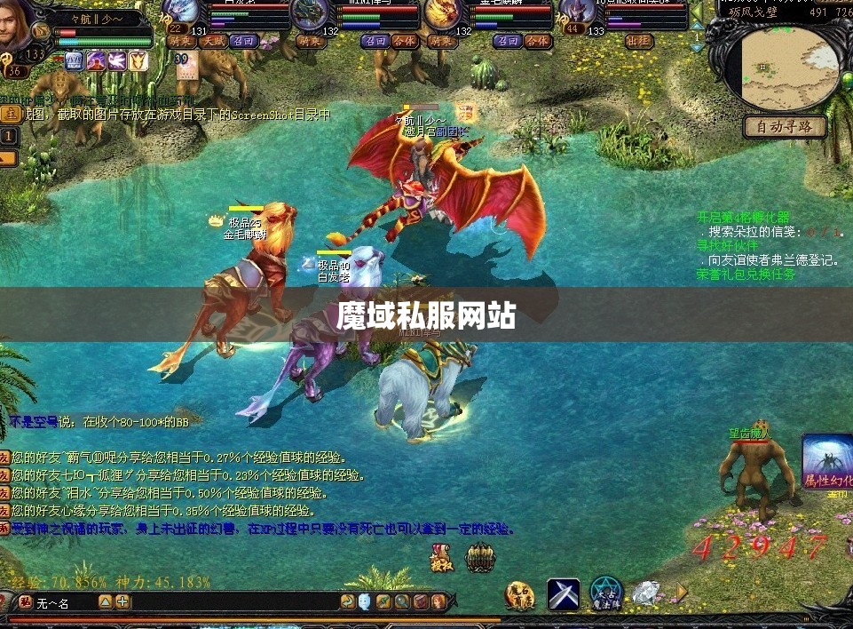 暗黑龙鸟的逆袭：揭秘魔域神秘私服网站 - 私服魔域网