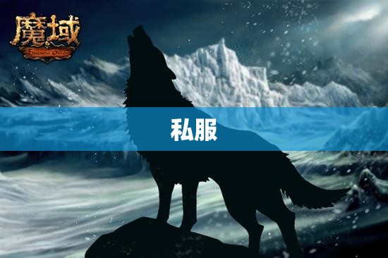 暗夜魔狼的逆袭——魔域私服辅助解析 - 私服魔域网