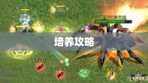 魔域幽灵兔专属攻略，助你轻松征战四方 - 私服魔域网