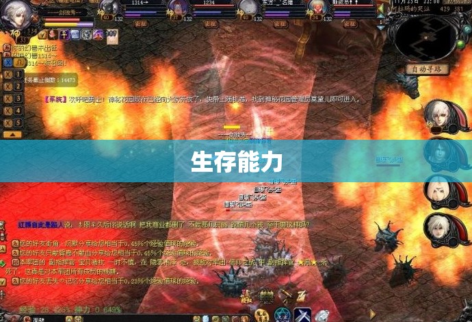 火焰领主魔域攻略，神秘外挂T3助你战无不胜 - 私服魔域网