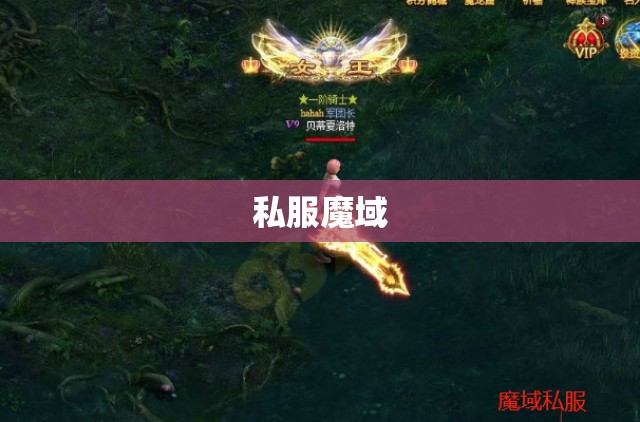 闪电之怒：一键下载私服魔域，体验极限战斗力飙升 - 私服魔域网