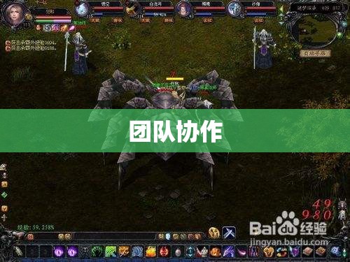 雷龙之谜——魔域私服蜘蛛挂攻略大揭秘 - 私服魔域网