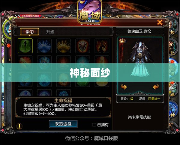 魔域神秘幻兽之旅：揭秘雷属性幻兽攻略大全 - 私服魔域网