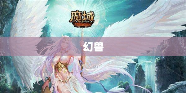 稳定魔域之神秘法师攻略：掌控魔法世界，称霸亚特大陆 - 私服魔域网