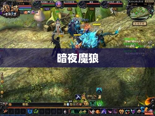 暗夜魔狼的逆袭：无毒私服魔域揭秘 - 私服魔域网