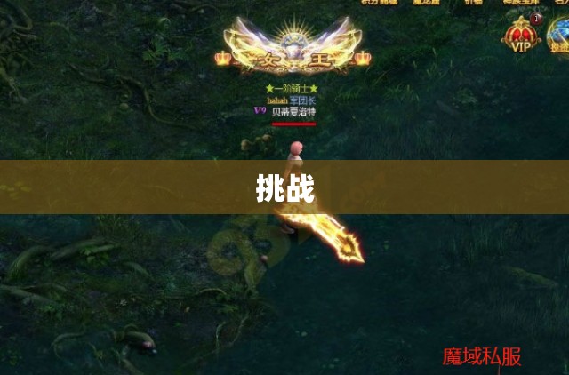 破晓之刃——魔域私服中的神器，助你踏上巅峰之路！ - 私服魔域网