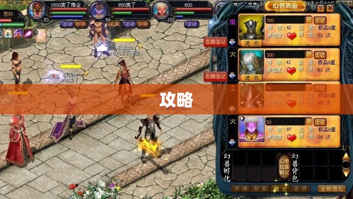 卓越之路：魔域私服宝宝选择与攻略大全