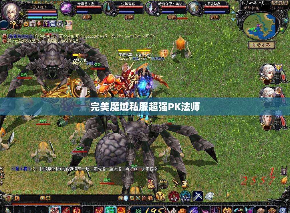 完美魔域私服超强PK法师