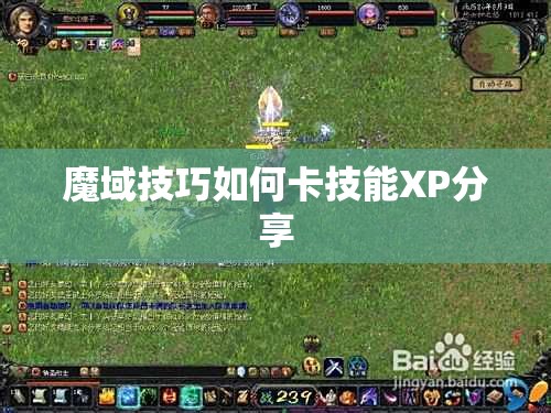 魔域技巧如何卡技能XP分享