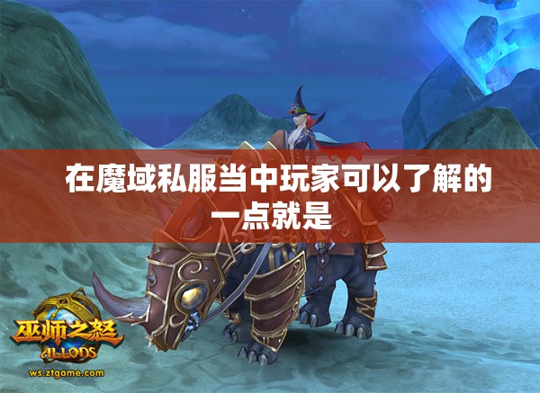 高等级坐骑提供的移动速度很快