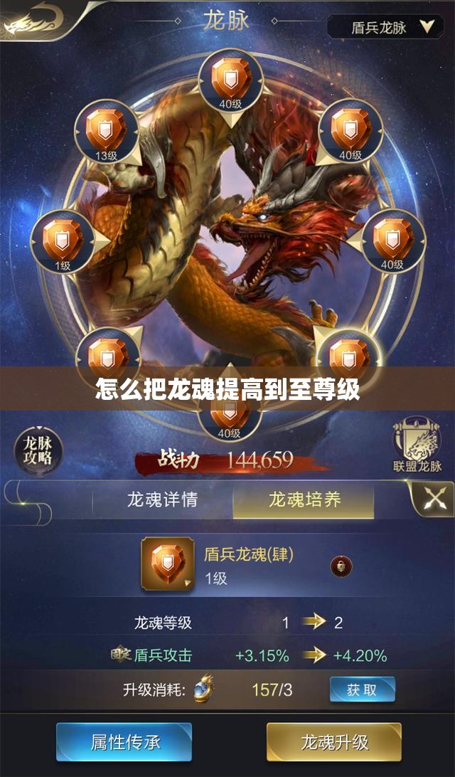 怎么把龙魂提高到至尊级