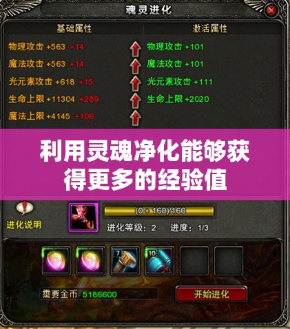 利用灵魂净化能够获得更多的经验值