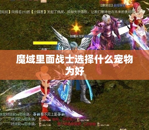 魔域里面战士选择什么宠物为好