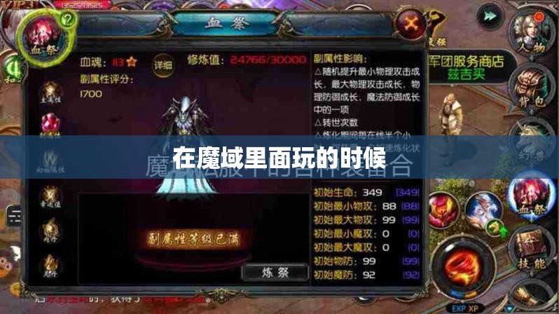 魔域里面的防具玩家们怎么使用