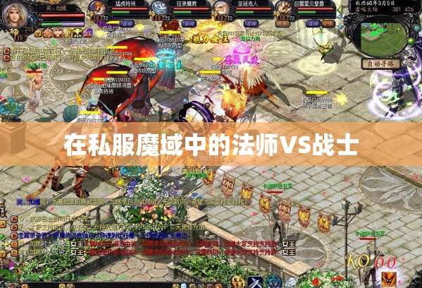 在私服魔域中的法师VS战士