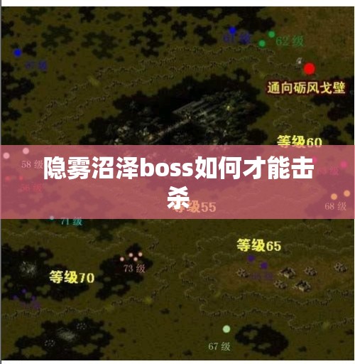 隐雾沼泽boss如何才能击杀