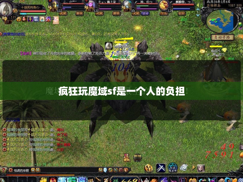 疯狂玩魔域sf是一个人的负担