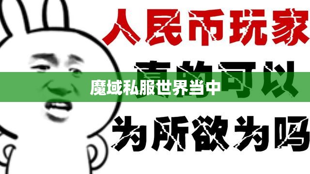 非人民币玩家如何进入高手阵营
