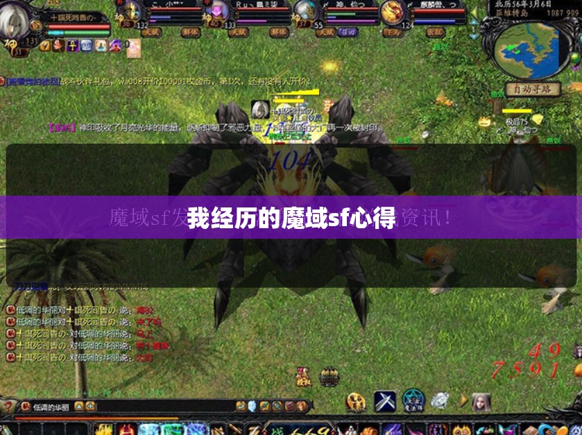 我经历的魔域sf心得
