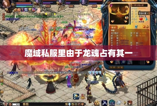 魔域私服从土豪流到平民！龙骑职业4种BB配置