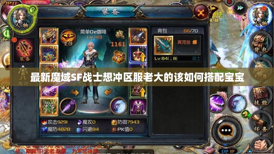 最新魔域SF战士想冲区服老大的该如何搭配宝宝