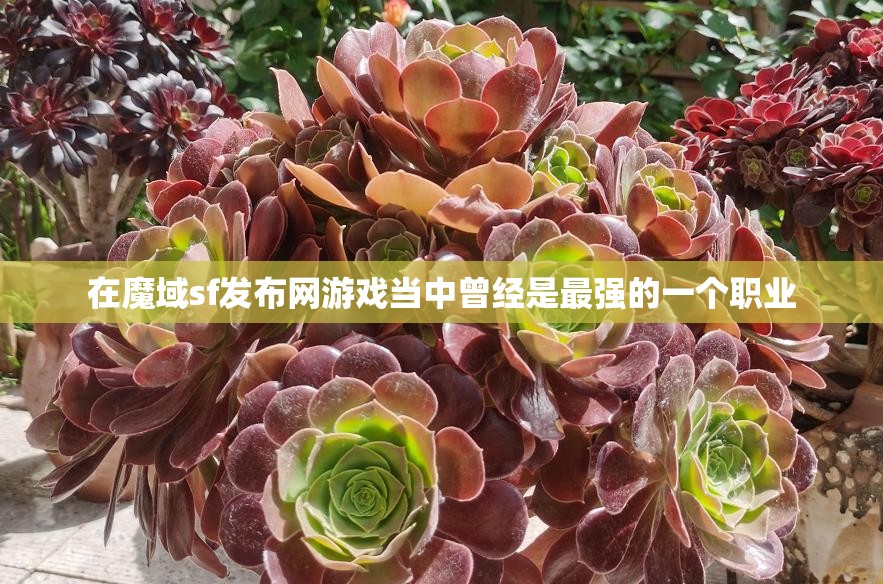 法师应该如何选择最适合自己的宝宝