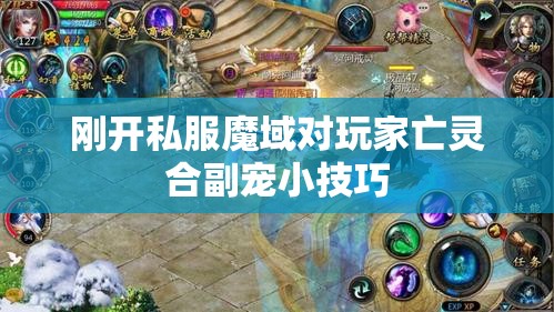 刚开私服魔域对玩家亡灵合副宠小技巧