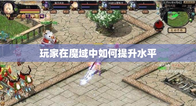 玩家在魔域中如何提升水平