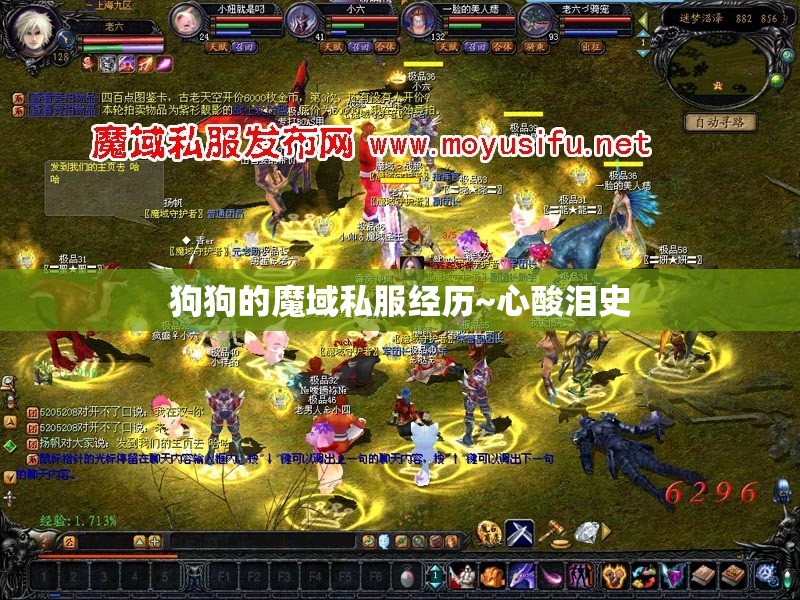 狗狗的魔域私服经历~心酸泪史