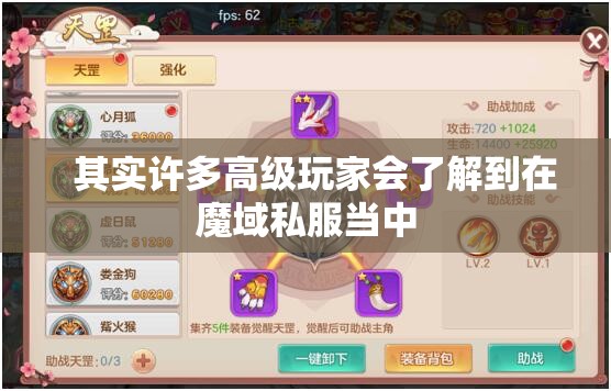 使用天罡强化精华可以快速提升属性