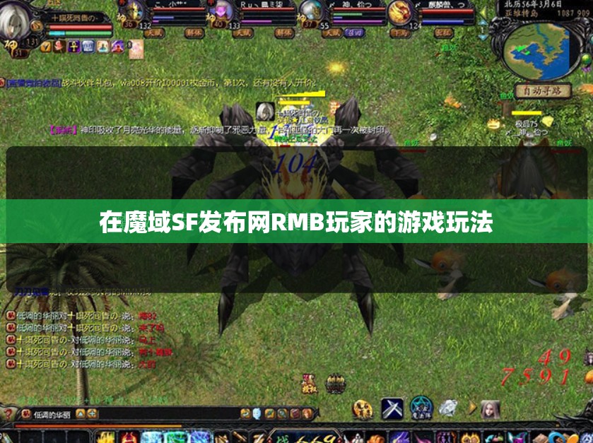 在魔域SF发布网RMB玩家的游戏玩法
