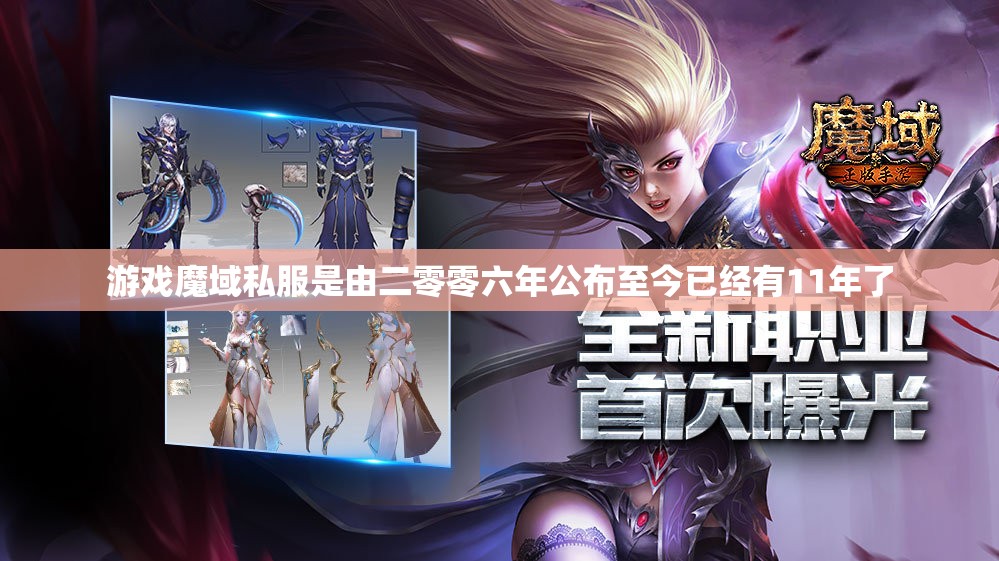 魔域私服都有哪些职业