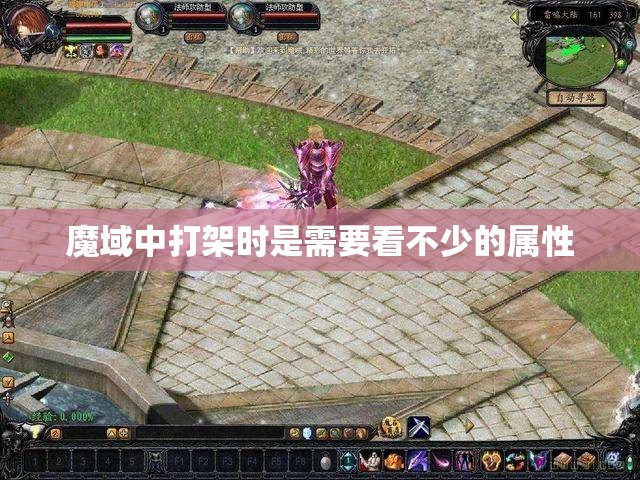 魔域中打架时是需要看不少的属性