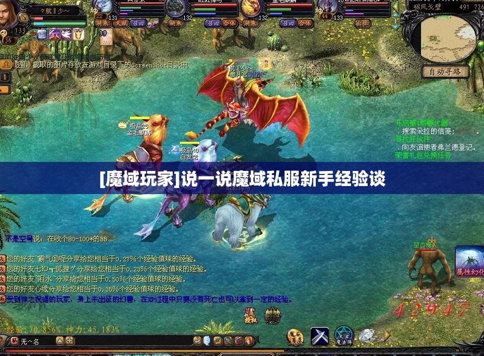 [魔域玩家]说一说魔域私服新手经验谈