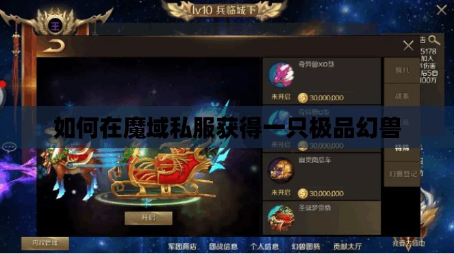 如何在魔域私服获得一只极品幻兽