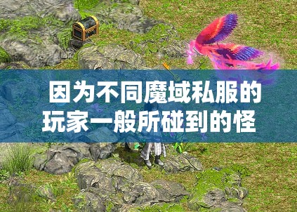 护宝神兽的最佳抢走攻略