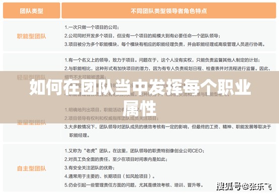 如何在团队当中发挥每个职业属性