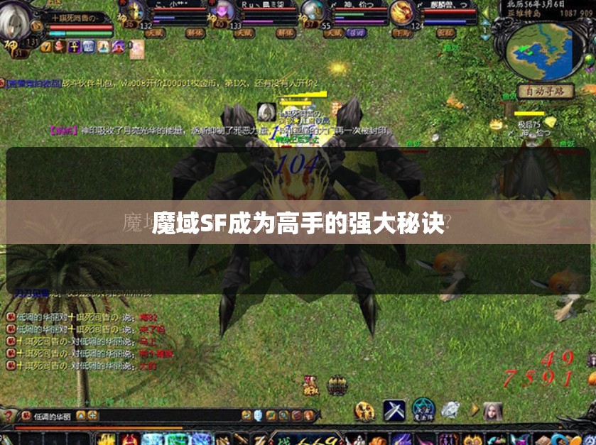 魔域SF成为高手的强大秘诀